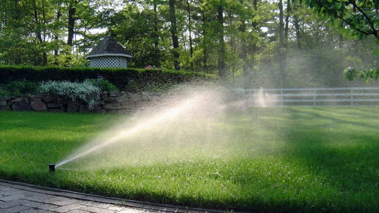 Automated irrigation system